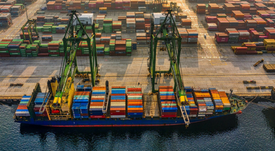 Systems approach: agregándole valor a la fruta chilena de exportación