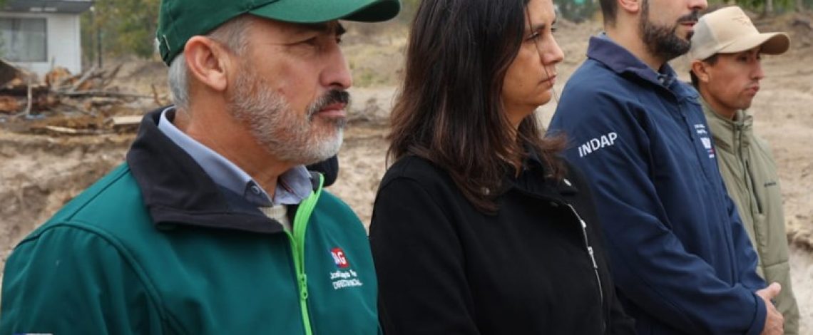Minagri llama a no bajar la guardia para mantener a Chile libre de influenza aviar