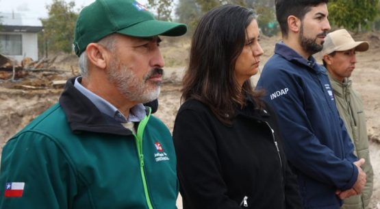 Minagri llama a no bajar la guardia para mantener a Chile libre de influenza aviar