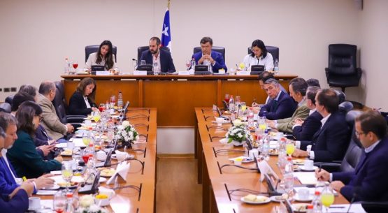 Consejo Exportador Agroalimentario aborda impacto de la aplicación de tarifas arancelarias por parte de Estados Unidos a Chile