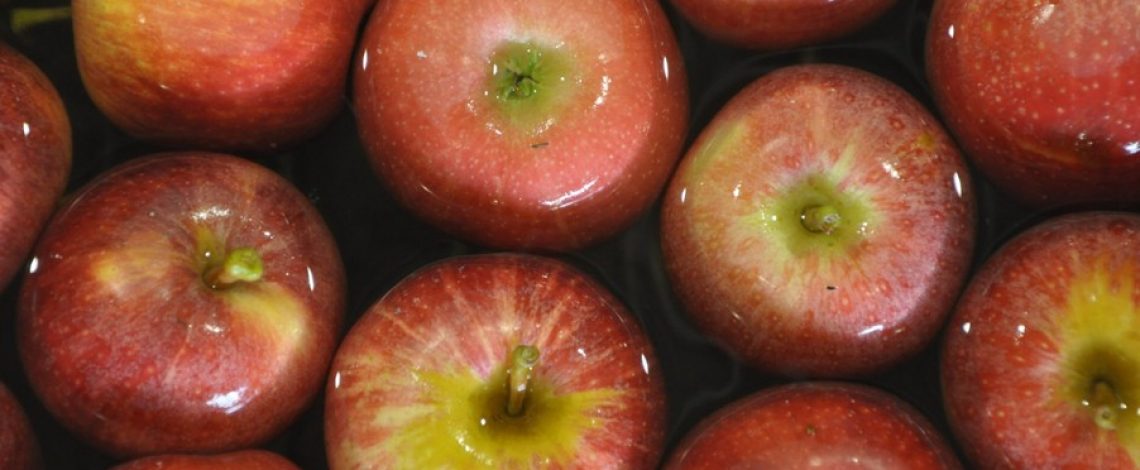 Chile y Perú acuerdan la reapertura a la exportación de manzanas chilenas