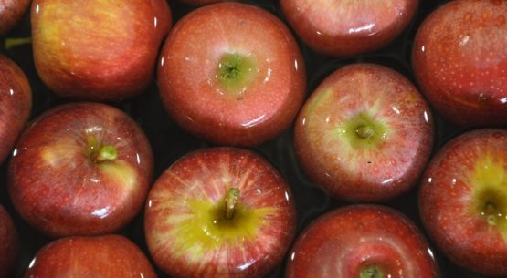 Chile y Perú acuerdan la reapertura a la exportación de manzanas chilenas