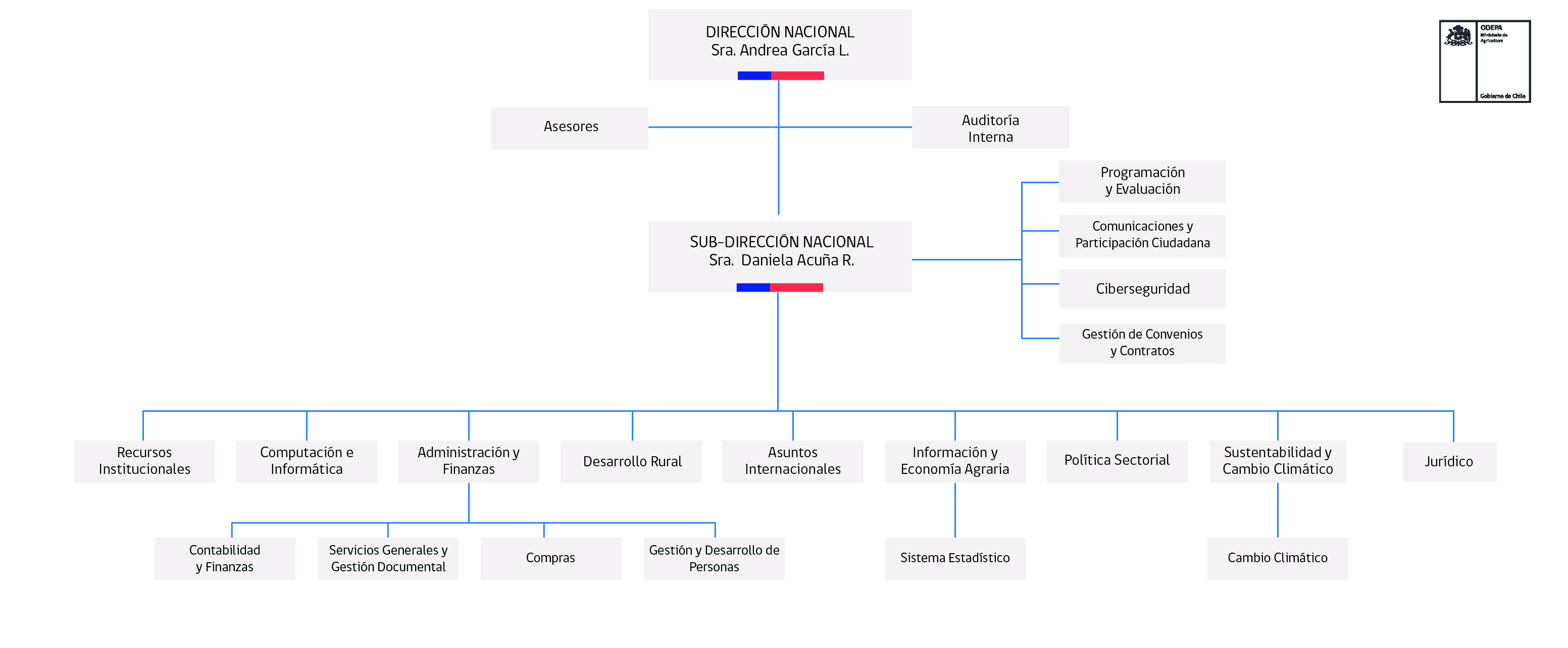 Organigrama ODEPA 2025