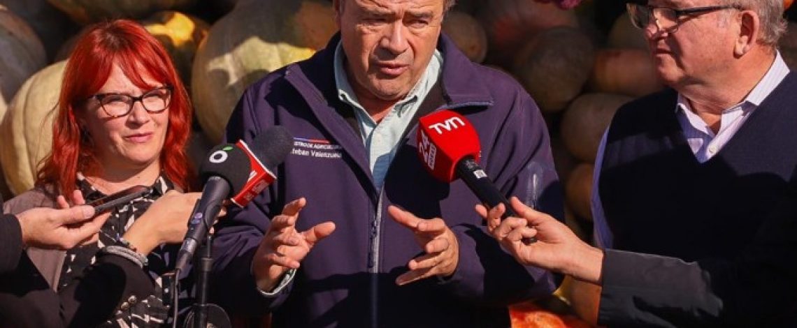 Ministro Valenzuela destaca baja de hasta un 50% en el precio de los cítricos durante estas semanas