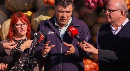 Ministro Valenzuela destaca baja de hasta un 50% en el precio de los cítricos durante estas semanas
