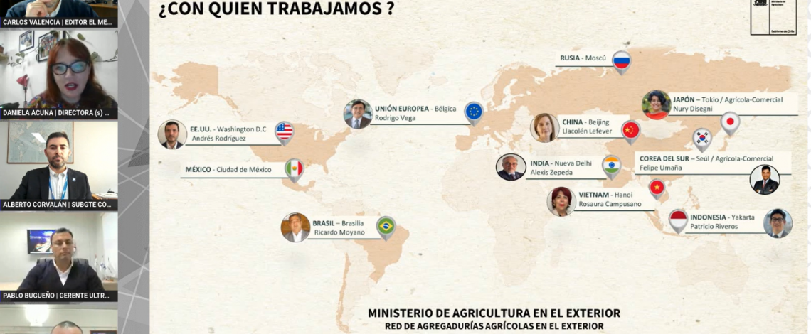 Odepa participa en webinar sobre las proyecciones de exportación frutícola en Chile