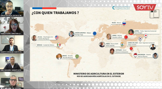 Odepa participa en webinar sobre las proyecciones de exportación frutícola en Chile