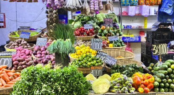 Ministro Valenzuela visita la Vega Central y destaca baja en papas, tomates, limones y kiwis