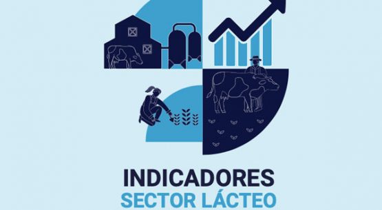 Exportaciones lácteas chilenas: Crecen envíos en valor y volumen