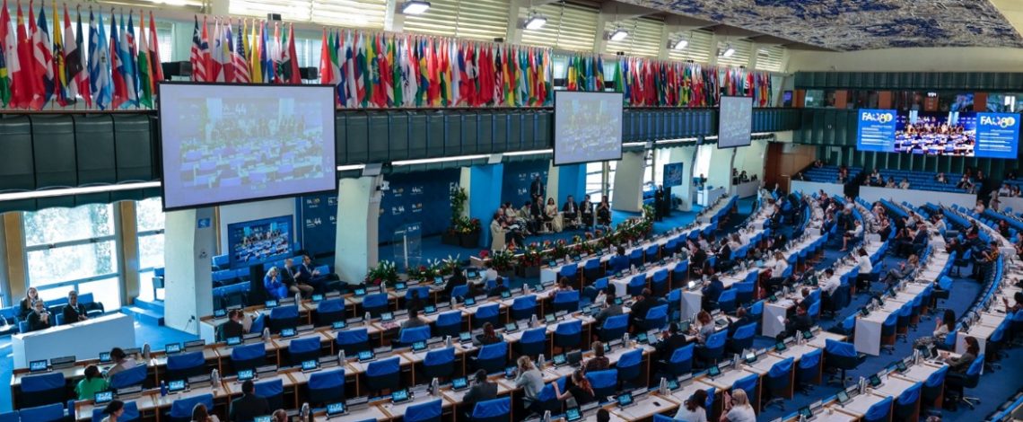 Ministerio de Agricultura destaca próxima aprobación por parte de la FAO del Día Internacional de las Frutas y Verduras