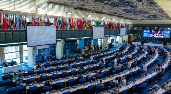 Ministerio de Agricultura destaca próxima aprobación por parte de la FAO del Día Internacional de las Frutas y Verduras