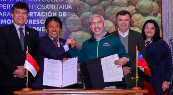 Chile e Indonesia firman protocolo fitosanitario para exportación de limones frescos