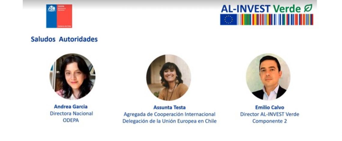 Chile presenta el primer diagnóstico técnico sobre el impacto del reglamento europeo de productos libres de deforestación (eudr) en las cadenas bovina y forestal