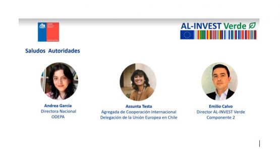 Chile presenta el primer diagnóstico técnico sobre el impacto del reglamento europeo de productos libres de deforestación (eudr) en las cadenas bovina y forestal