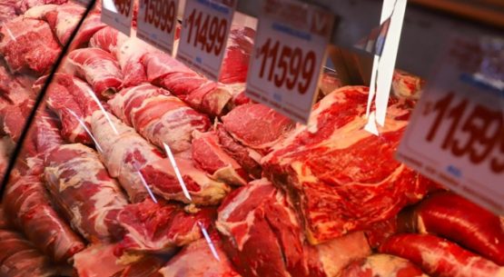 Ministerio de Agricultura refuerza fiscalización del SAG y llama a comprar carne en lugares autorizados en vísperas de Fiestas Patrias