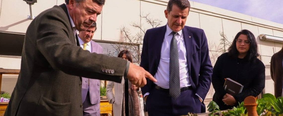 Directora de Odepa se reunió con director de la OIV