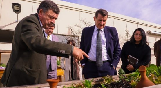 Directora de Odepa se reunió con director de la OIV