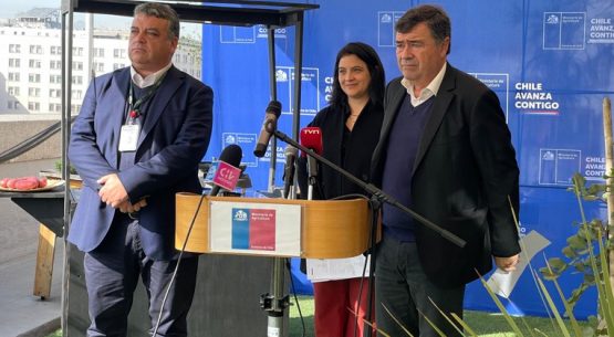 Ministerio de Agricultura destaca baja de precios en frutas y verduras y asegura abastecimiento de carne para Fiestas Patrias