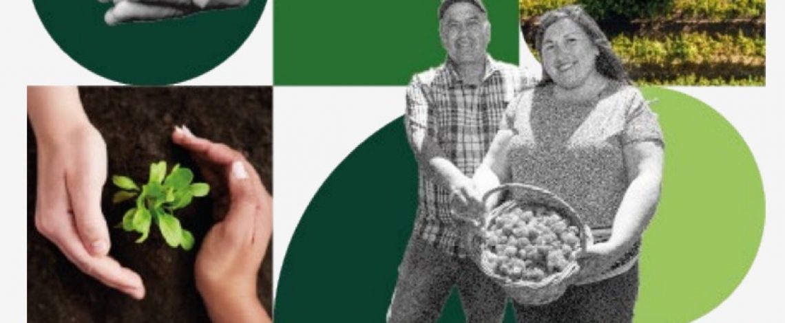 Disponible en la Web de Odepa el Código de Ética e Integridad