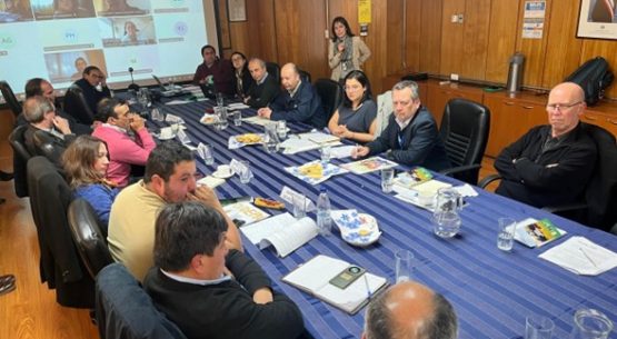 Comisión Nacional del Maíz analiza perspectivas de mercado y modernización estadística