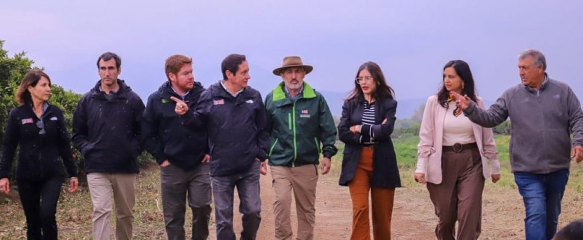 Gobierno y sector frutícola detallan alcances de la apertura del mercado mexicano a las naranjas chilenas