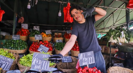 Ministra de Agricultura reforzó el llamado a cotizar precios de los alimentos a solo horas del comienzo de fiestas patrias