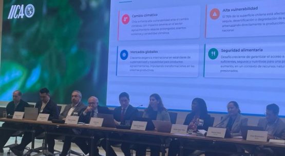 Odepa compartió experiencias de sustentabilidad agroalimentaria en diálogo hemisférico en Costa Rica