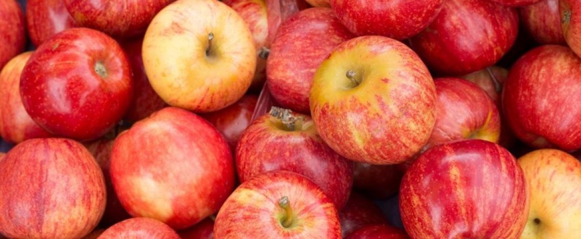 Chile y Brasil ponen en marcha la certificación electrónica para la exportación e importación de productos agrícolas y forestales