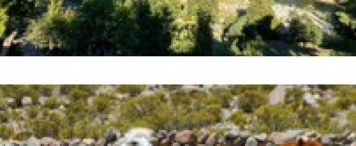 Chile se adjudica dos nuevos sitios SIPAM reconocidos por la FAO