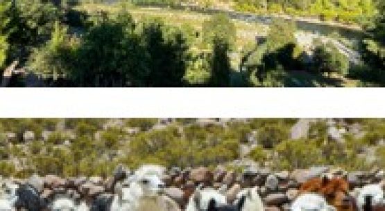 Chile se adjudica dos nuevos sitios SIPAM reconocidos por la FAO