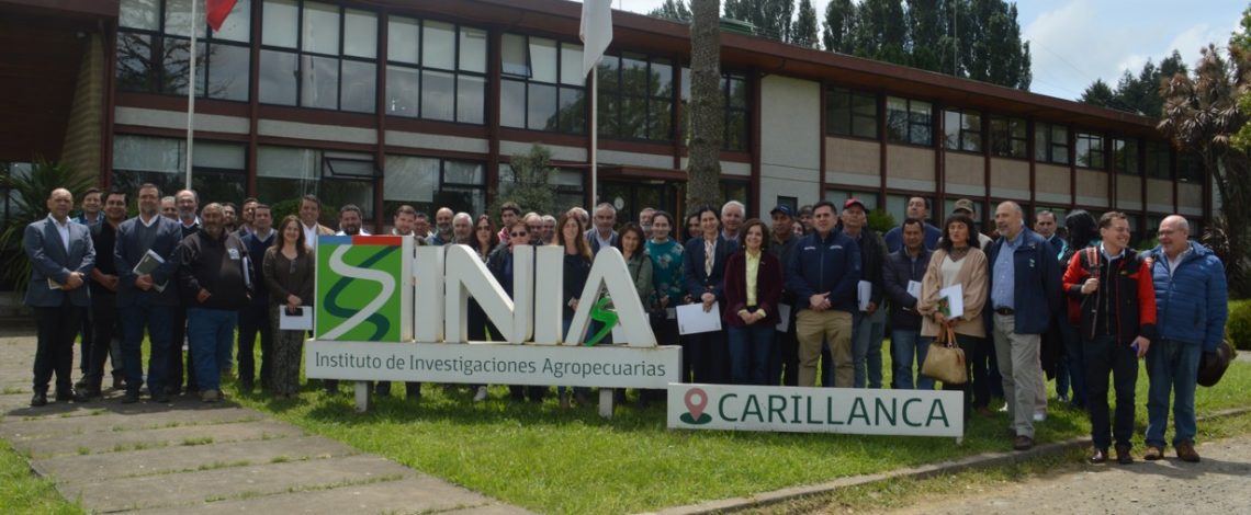 Chile avanza en Agricultura de Contrato: gremios y Minagri sellan alianza para un trigo más competitivo