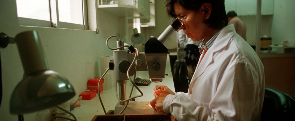 Convergencias y diferencias entre la ciencia global disponible y la estrategia de mitigación al cambio climático de Chile en el sector agropecuario