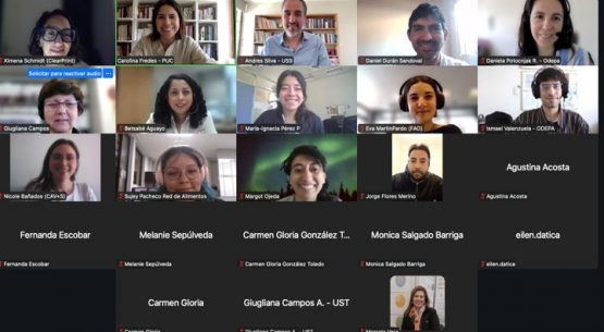 Pérdidas y desperdicios de Alimentos: ¿Qué investigamos en Chile?