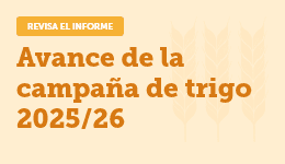 Avance de la campaña de trigo 2025/26 Avance de la campaña de trigo 2025/26