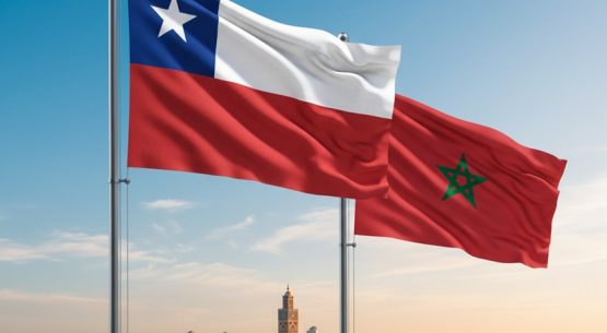 Marruecos: nuevas oportunidades de cooperación y diversificación de las exportaciones chilenas