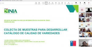 Presentación de INIA sobre metodología de colecta de muestras para el Catálogo de Calidad de Variedades de Trigo en reunión virtual de enero 2026