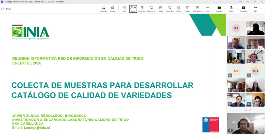 Presentación de INIA sobre metodología de colecta de muestras para el Catálogo de Calidad de Variedades de Trigo en reunión virtual de enero 2026