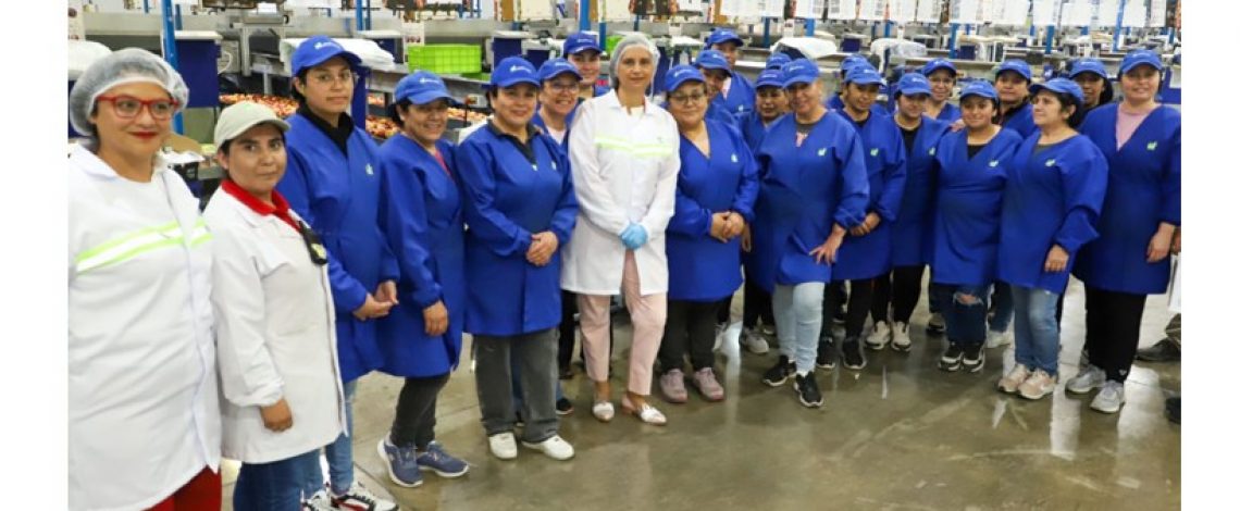 Agenda de Competitividad Agroexportadora Sustentable impulsa alza de 6,5% en exportaciones y récord sobre US$ 20.500 millones