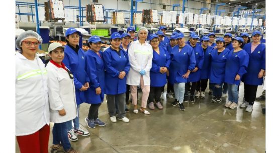 Agenda de Competitividad Agroexportadora Sustentable impulsa alza de 6,5% en exportaciones y récord sobre US$ 20.500 millones