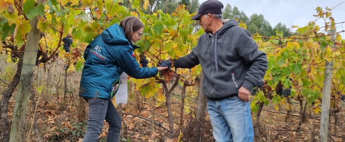 SAG destaca vigencia indefinida de acuerdo orgánico que favorece exportaciones chilenas