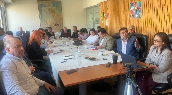 Con alta convocatoria sesionó la Subcomisión de Comercialización del Arroz