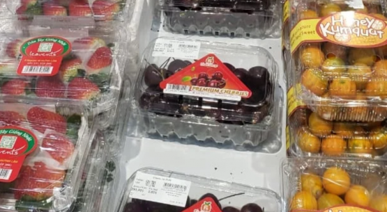 Chile y Vietnam: 55 años de cooperación y una agenda agrícola con proyección de futuro