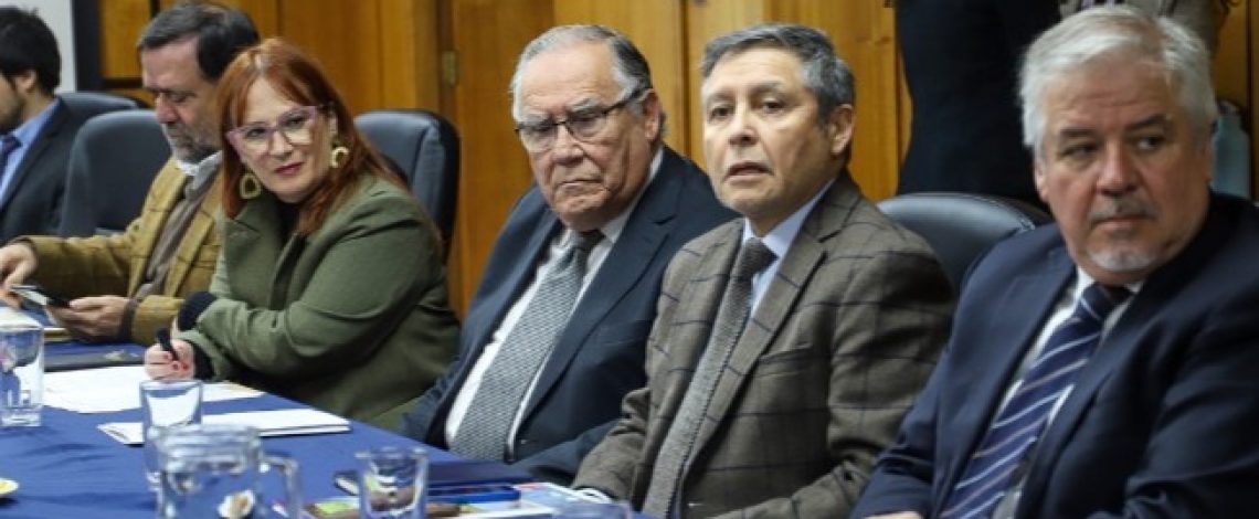 Sectores público y privado se reunieron bajo el alero de la Comisión Nacional de Apicultura