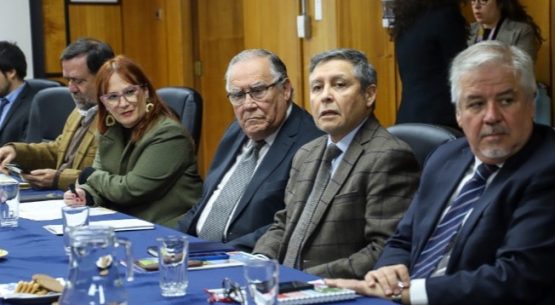 Sectores público y privado se reunieron bajo el alero de la Comisión Nacional de Apicultura