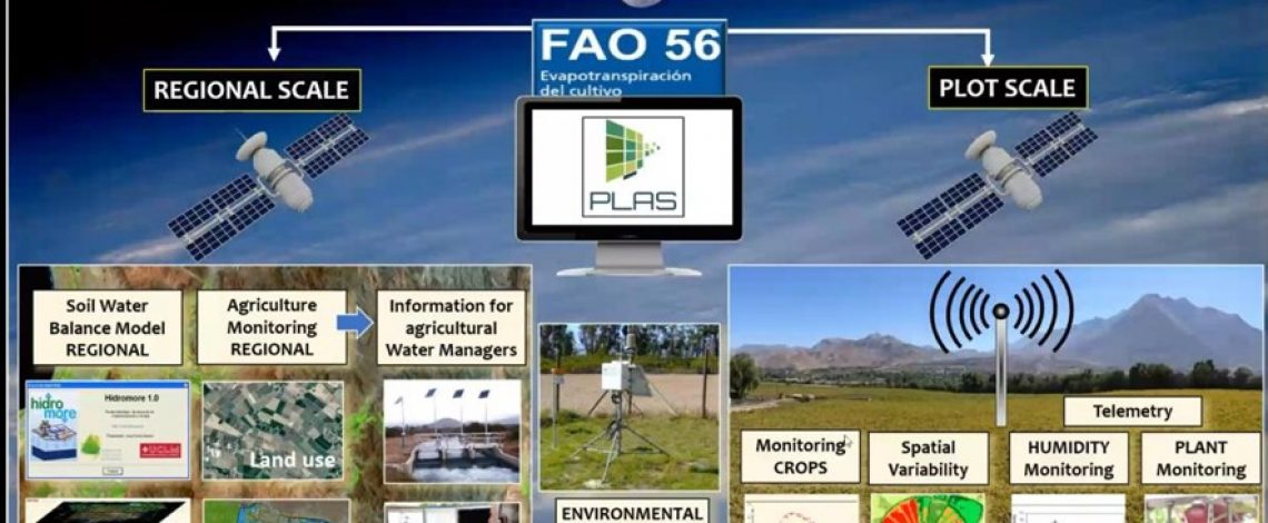 Chile e Indonesia fortalecen cooperación agrícola con seminario sobre arroz climáticamente inteligente