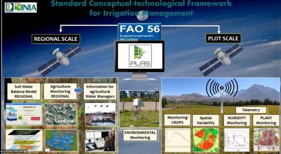 Chile e Indonesia fortalecen cooperación agrícola con seminario sobre arroz climáticamente inteligente