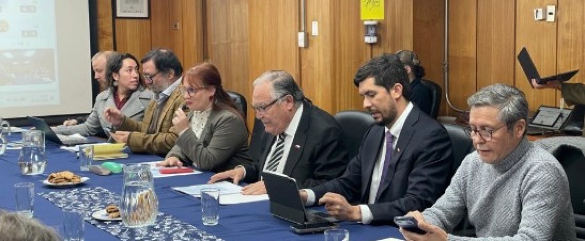 En un muy buen ambiente se desarrolló la Comisión Nacional de la Carne Bovina