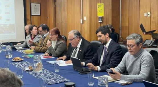 En un muy buen ambiente se desarrolló la Comisión Nacional de la Carne Bovina