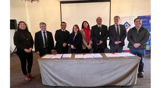 Chile fortalece liderazgo mundial en ciruela deshidratada con certificación sustentable y nuevo APL para la producción primaria