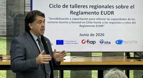 Ministerio de Agricultura fortalece la preparación de los sectores forestal y bovino ante nueva normativa europea